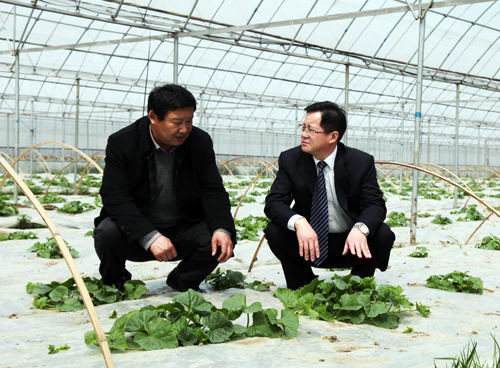 點此在新窗口瀏覽圖片